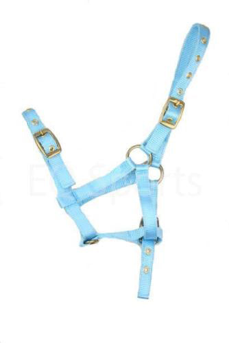 Nylon Mini Foal Slip & Foal Head Collars Baby Blue