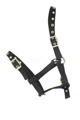 Nylon Mini Foal Slip & Foal Head Collars Black