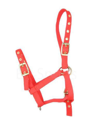 Nylon Mini Foal Slip & Foal Head Collars Red