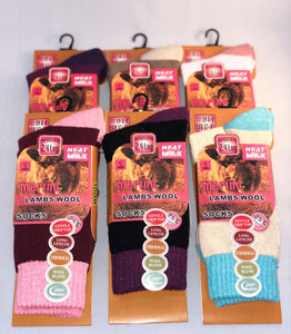 Ladies Merino Lambs Wool Socks (Pack of 12)