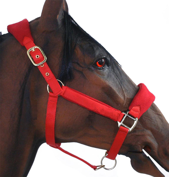 Fleece Padded Headcollar Halter with Gold Fittings Red