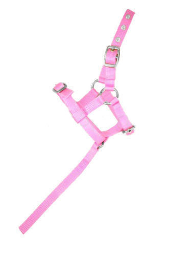 Nylon Mini Foal Slip & Foal Head Collars Pink